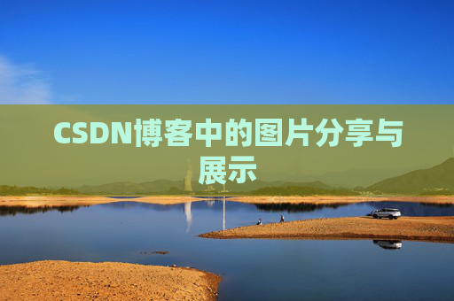 CSDN博客中的图片分享与展示